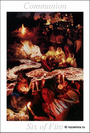 Nature Tarot by Jan Strube